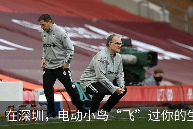 在深圳，电动小鸟“飞”过你的生活